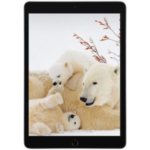 iPad (9th Generation) 10.2-Inch   