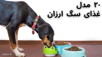 غذای خشک سگ ارزان